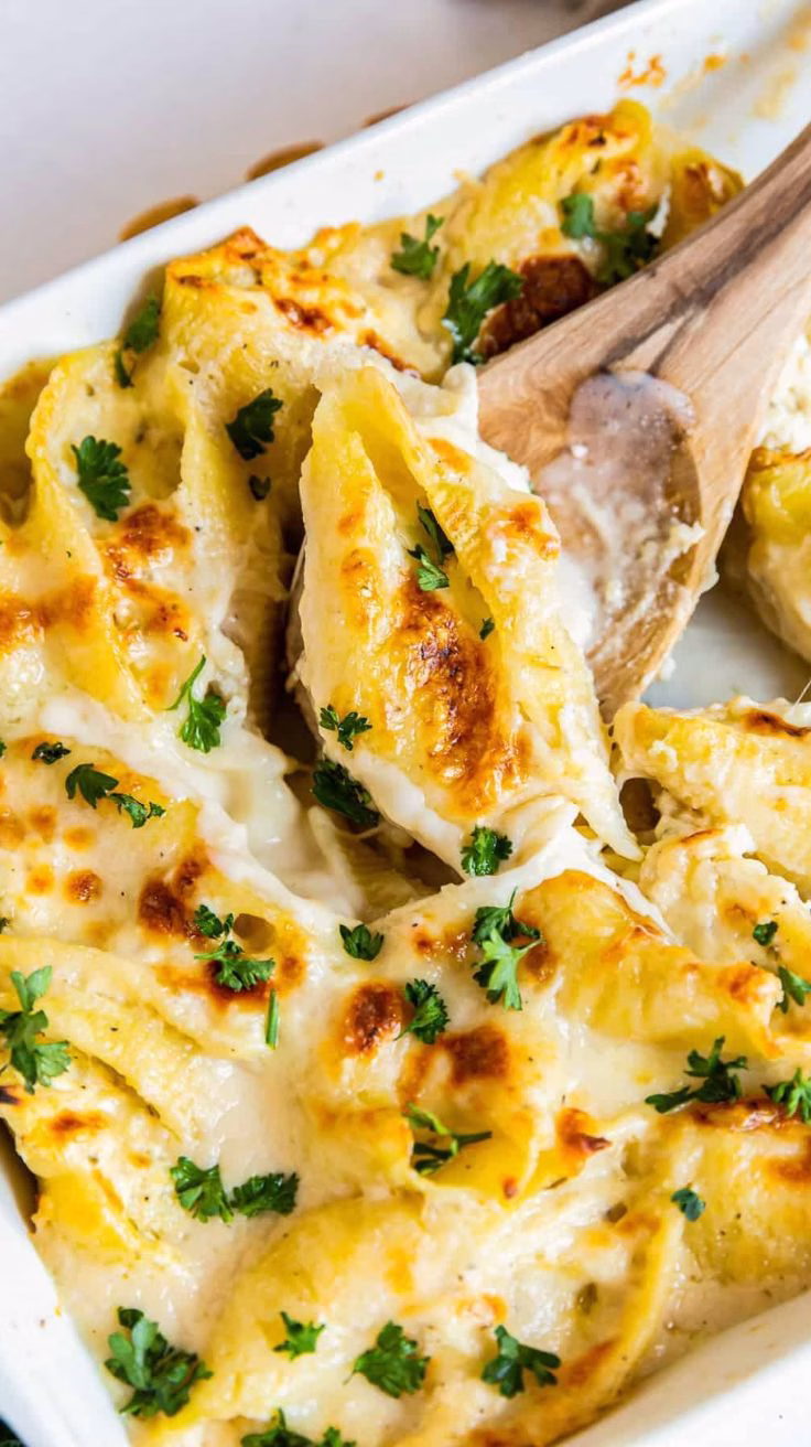 chicken alfredo stuffed shells recipe