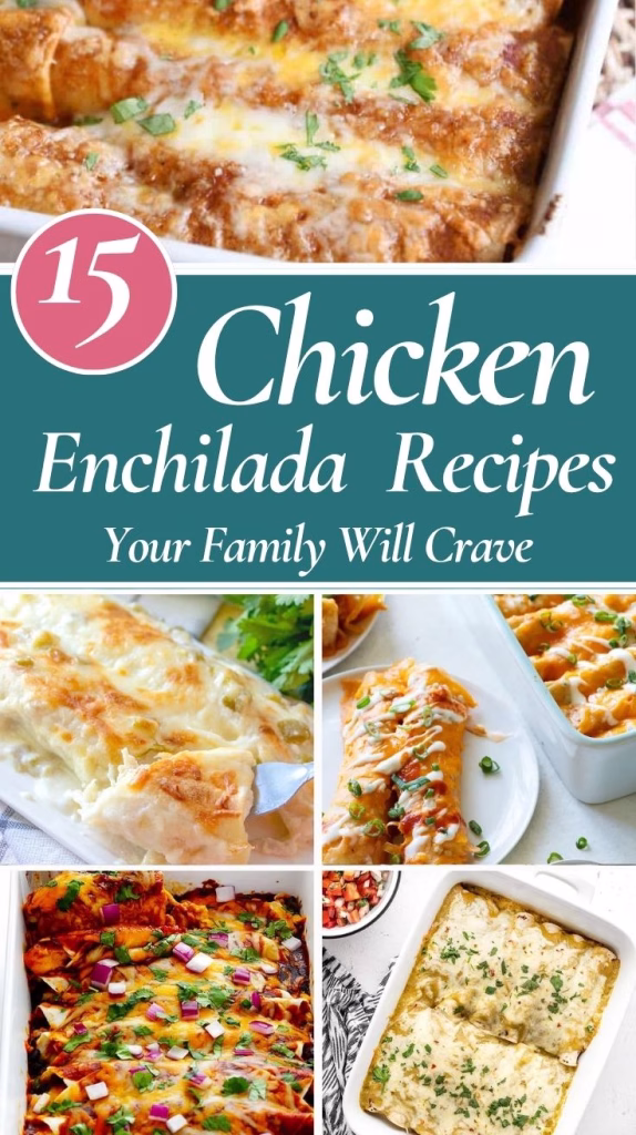 chicken enchilada recipe