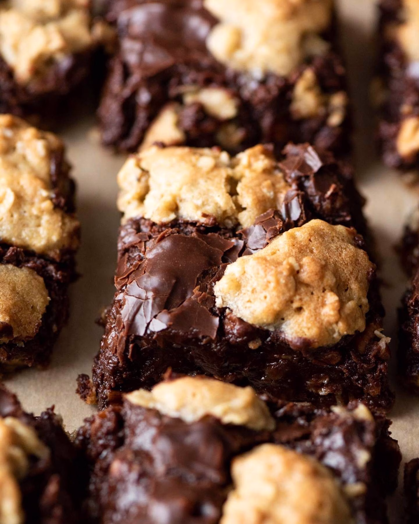 Classic Fudge Nut Bars