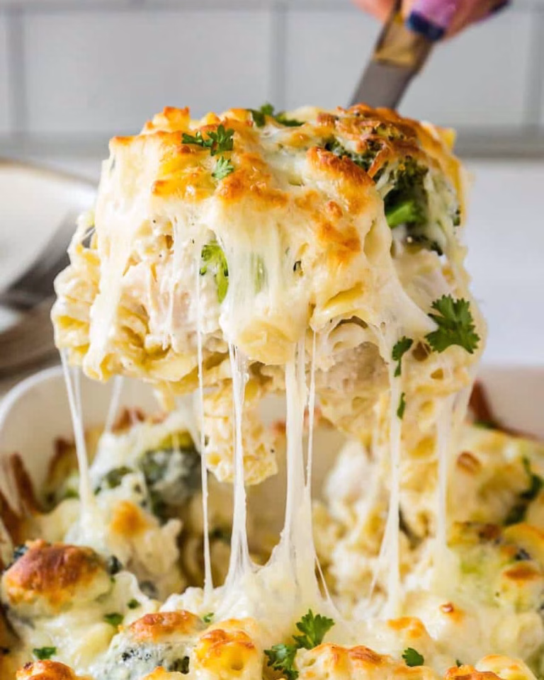 Baked Chicken Alfredo Recipe