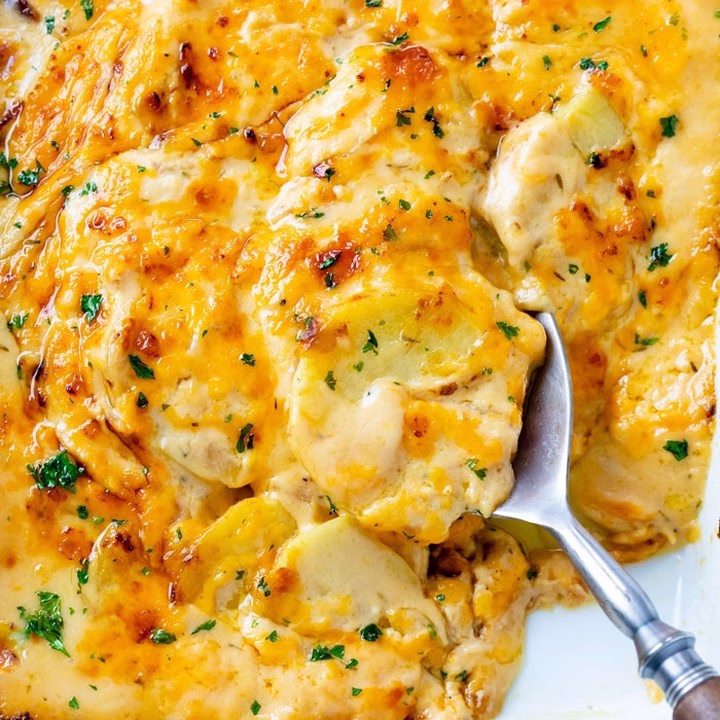 Scalloped Potatoes Recipe
