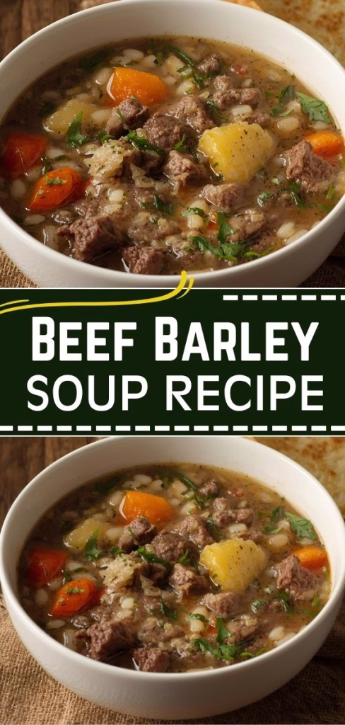 Beef Barley Soup Recipe