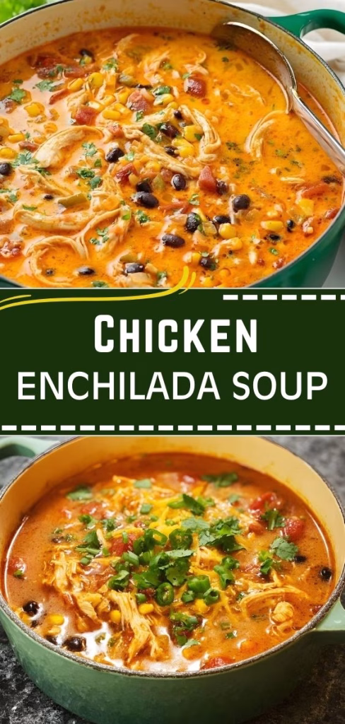 Chicken Enchilada Soup Recipe