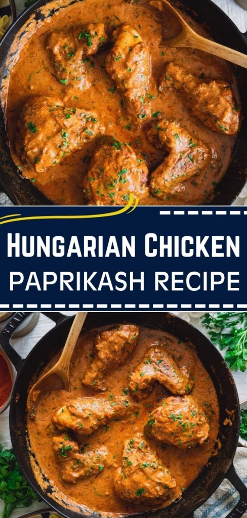Hungarian Chicken Paprikash Recipe
