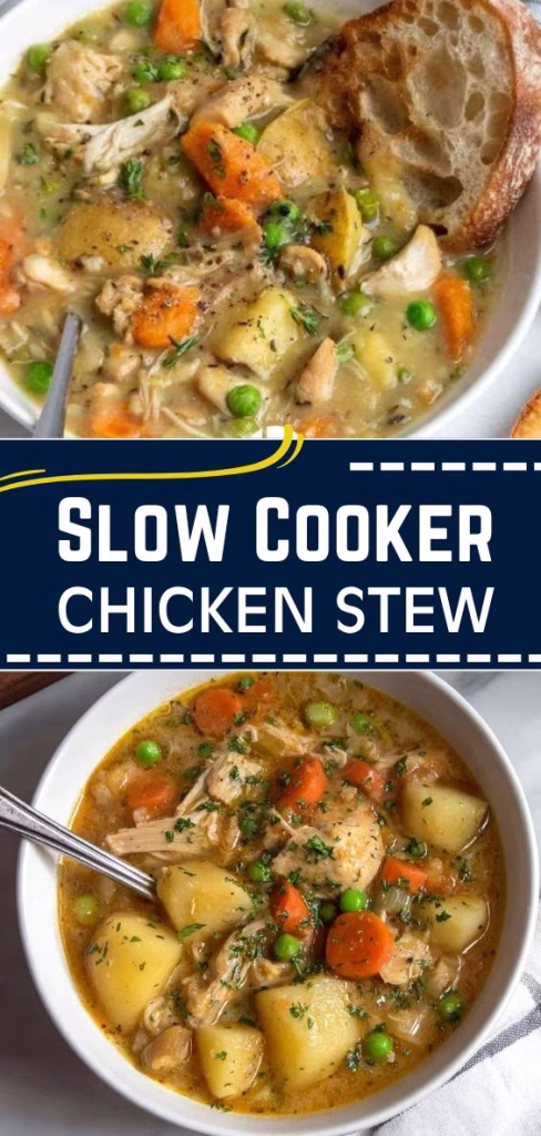 Slow Cooker Chicken Stew Recipe