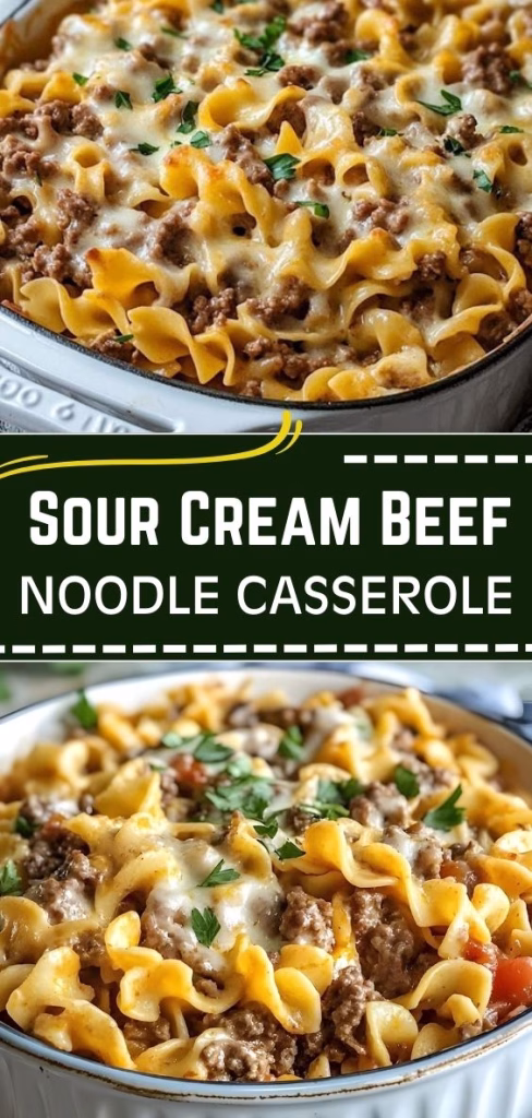 Sour Cream Beef Noodle Casserole Recipe