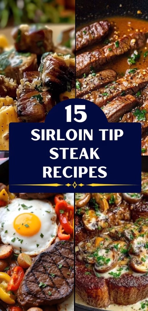 15 Sirloin Tip Steak Recipes