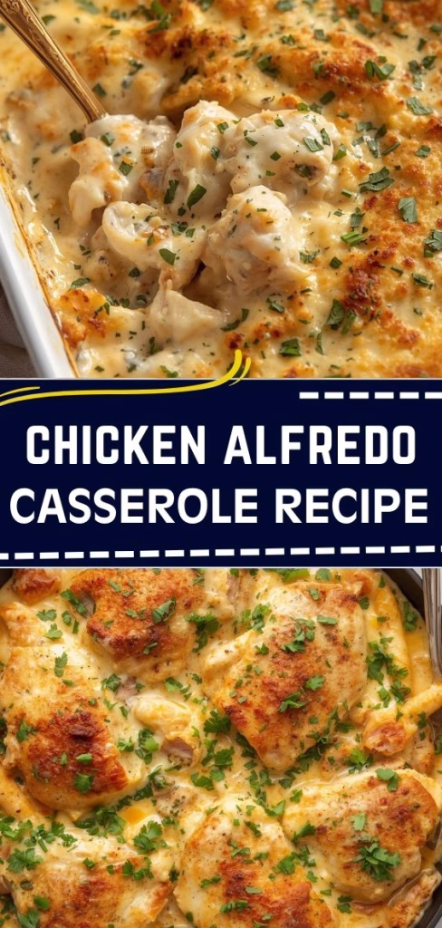 Chicken Alfredo Casserole Recipe