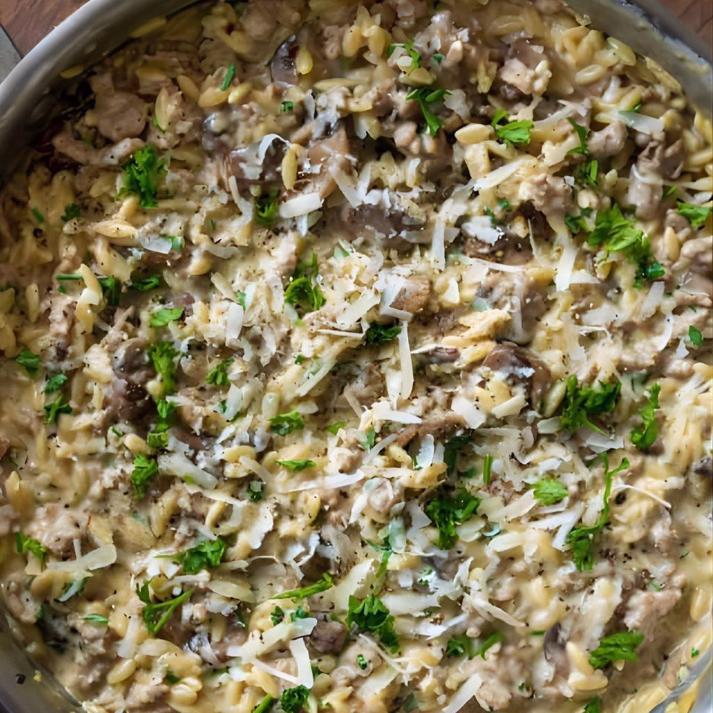 Creamy Ground Turkey and Mushroom Orzo Recipe 