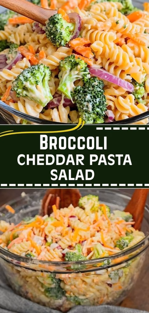 Broccoli Cheddar Pasta Salad Recipe