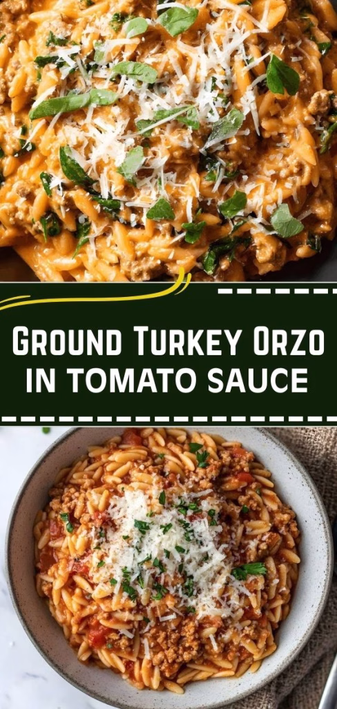 Ground Turkey Orzo in Tomato Sauce Recipe 