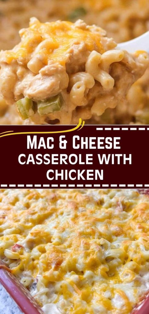 Mac and Cheese Casserole with Chicken Recipe