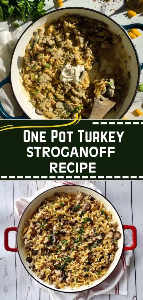 One Pot Turkey Stroganoff Recipe
