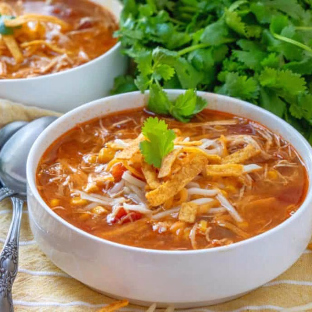 Crockpot Chicken Tortilla Soup