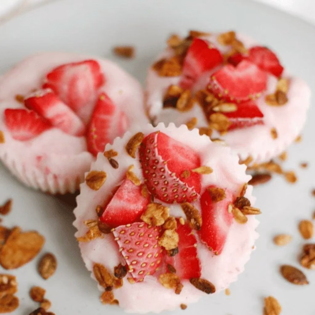 Frozen Treats For Kids: Yogurt Granola Bites