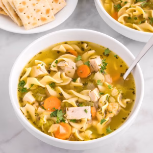 Costco Chicken Noodle Soup Copycat Recipe