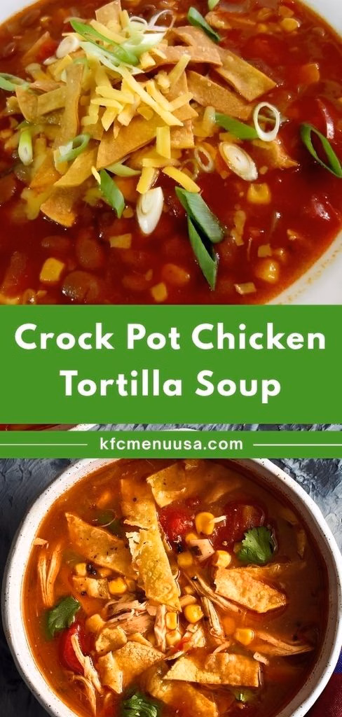 Crock Pot Chicken Tortilla Soup Recipe